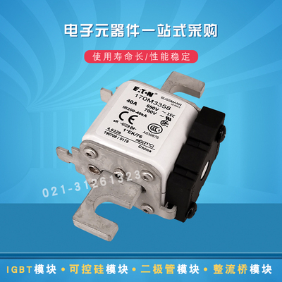 巴斯曼快速熔断器保险丝