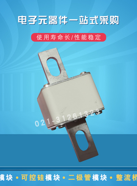 快速熔断器保险丝170M5616 5617 5618 5644 5645 5646 5647 5648