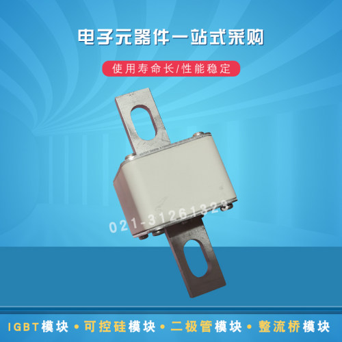 快速熔断器保险丝170M5616 5617 5618 5644 5645 5646 5647 5648