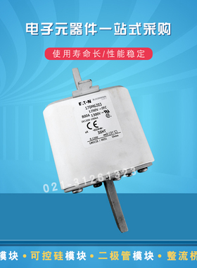 170M6194 6195 6196 6197 6198 6199 6200 6202 6201巴斯曼熔断器