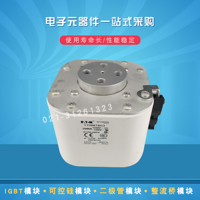 巴斯曼快速熔断器170M7184 7185 7186 7187 7188 7189 7198 7199