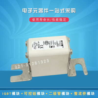 伊顿熔断器保险丝170M4807 4809 4810 4811 4812 4813 4814 4815
