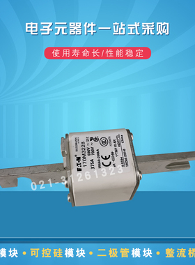 快速熔断器保险丝170M3228 3229 3238 3239 3240 3241 3242 3243