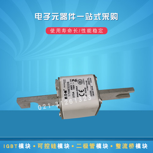 快速熔断器保险丝170M3228 3229 3238 3239 3240 3241 3242 3243