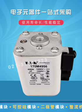 巴斯曼熔断器保险丝170M4959 4560 4965 4967 4968 4969 4970现货