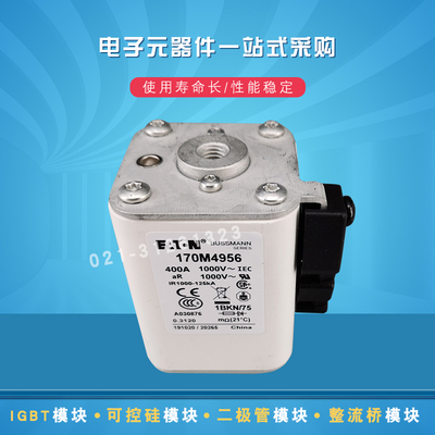巴斯曼熔断器保险丝170M4959 4560 4965 4967 4968 4969 4970现货