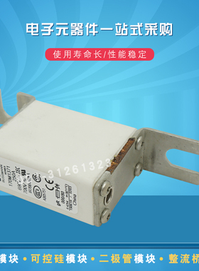 巴斯曼熔断器保险丝170M2055 2056 2057 2058 2059 2060 2061全新