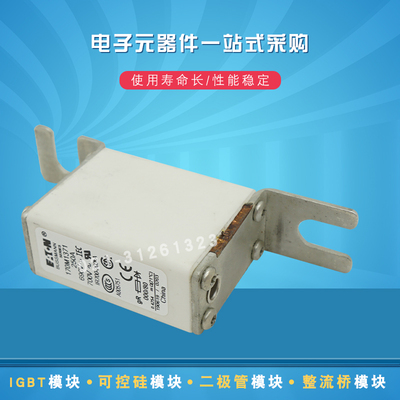 巴斯曼熔断器保险丝170M2055 2056 2057 2058 2059 2060 2061全新