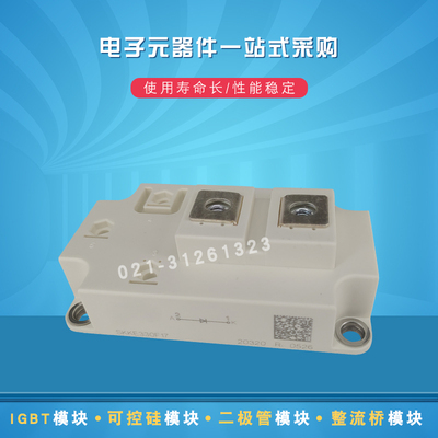 全新二极管模块SKKE301F12 SKKE310F12