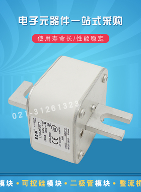 巴斯曼熔断器170M6028 6029 6035 6044 6048 6058 6059 6060 6061
