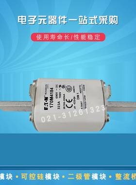 170M4184 4185 4186 4188 4189 4190 4191 4192 4193快速熔断器