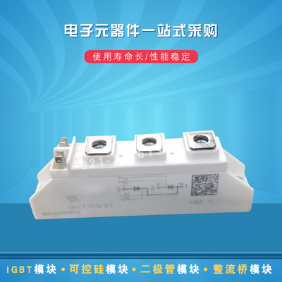 可控硅模块SKKT106B14E SKKT106B16E SKKT106B18E SKKT107B16E