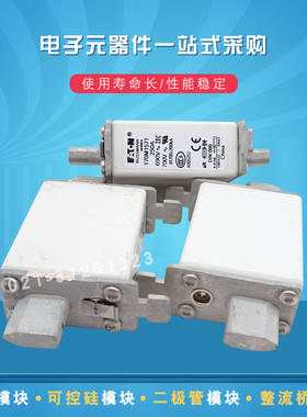 快速熔断器保险丝170M1571 1572 1583 1584 1620 1621 1730 1731