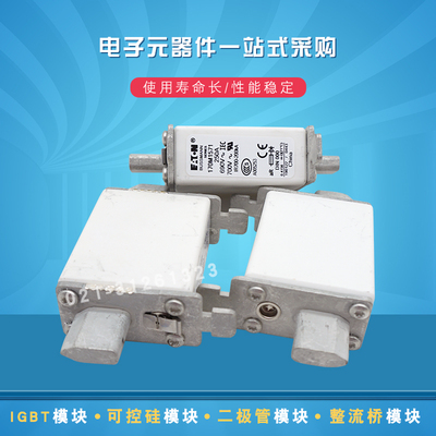 快速熔断器保险丝170M1571 1572 1583 1584 1620 1621 1730 1731