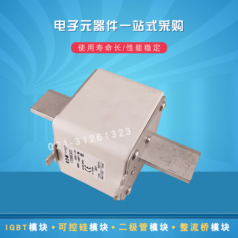 巴斯曼熔断器170M6309 6310 6311 6312 6313 6314 6315全新原装