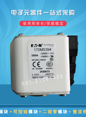 170M5310 5311 5312 5313 5314 5315 5316 5358快速熔断器保险丝
