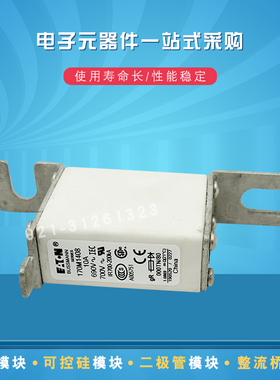 170M1395 1408 1409 1410 1411 1412 1413 1414快速熔断器保险丝