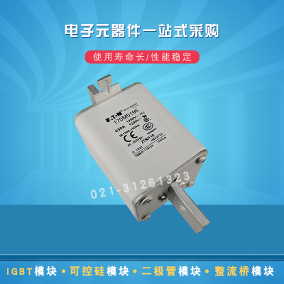 巴斯曼熔断器170M5188 5189 5190 5191 5192 5193 5194 5195 5196