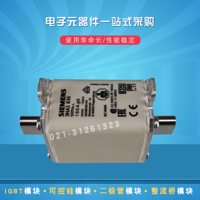 3NA3122-2C 3NA3130-2C 3NA3124-2C全新原装快速熔断器