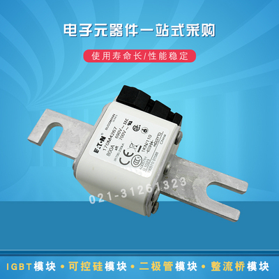 快速熔断器保险丝170M4267 4268 4269 4308 4309 4310 4311 4312