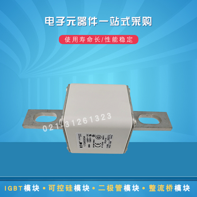 170M5649 5650 5658 5659 5660 5661 5662 5663快速熔断器保险丝