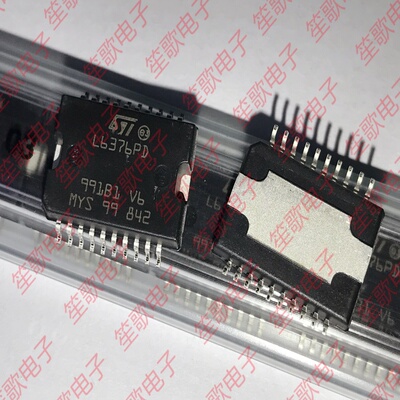 L6376PD L6376D013TR 封装HSOP20 功率电子开关 全新进口原装