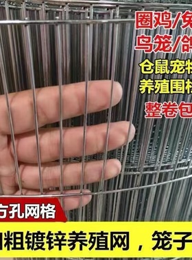 镀锌铁丝网长孔养殖网鸽舍铁网鸟笼网片鸡兔笼网围栏网钢丝防护网