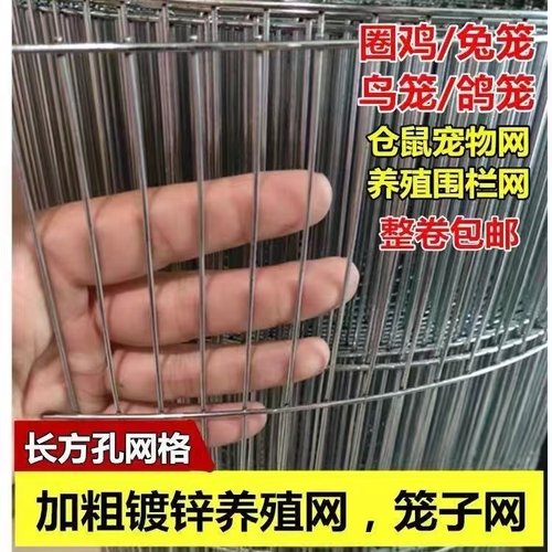 镀锌电焊网密格宠物围栏