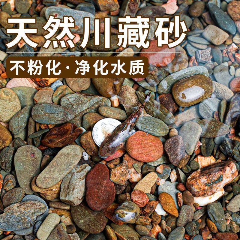 原生川藏砂鱼缸底砂造景装饰乌龟水草南美缸水晶雨林大矶化妆沙子