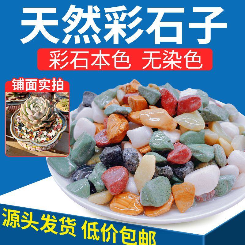 天然五彩石雨花石鱼缸造铺底盆栽水培多肉植物铺面装饰小石头