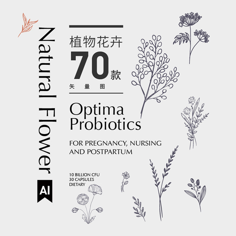 手绘线稿素描条线描草本植物花卉矢量图化妆品包装设计素材SLT001