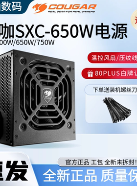 骨伽SXC650台式机电源白牌直出额定650W静音宽幅电脑主机电源全新