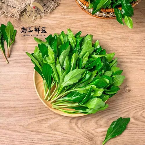 上海崇明马兰头山坡菜清香四溢