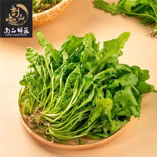 新鲜野荠菜野生荠菜馄饨饺子