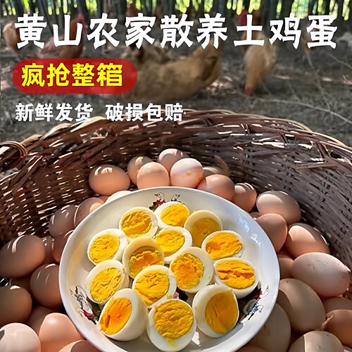 黄山休宁高山散养新鲜土鸡蛋