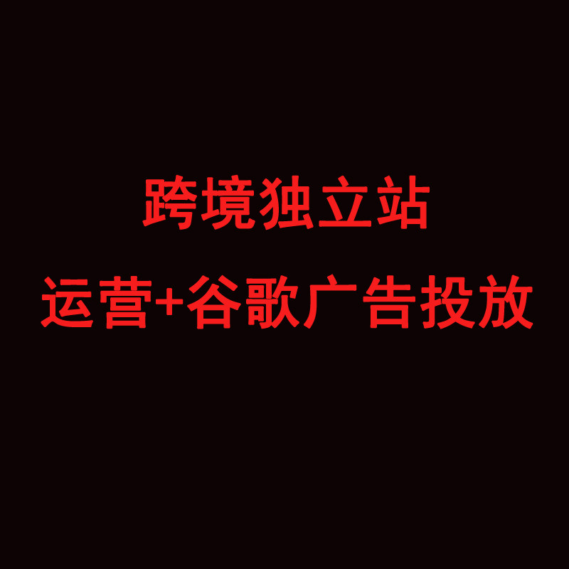 网站建设，网站运营和维护，跨境独立站制作和广告投放
