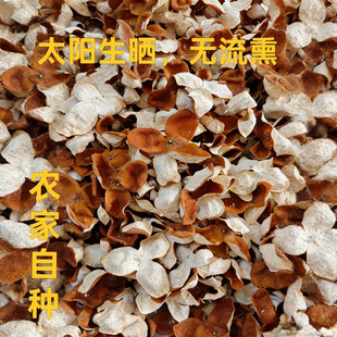 浦北2025年大红皮太阳生晒农家自种泡茶煲汤自饮收藏送礼皆宜