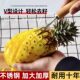 菠萝专用刀菠萝去眼器削菠萝神器菠萝V型铲子凤梨刀挖眼去皮工具