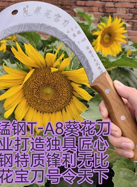 葵花专用砍柴户外收割镰刀特快砍树枝全钢淬火甘蔗刀柴刀砍竹修树