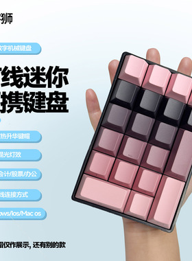 复客狮F21有线数字小键盘办公财务会记计算迷你混光便携机械键盘