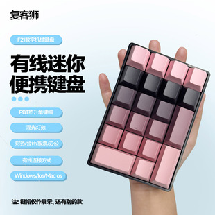 复客狮F21有线数字小键盘办公财务会记计算迷你混光便携机械键盘