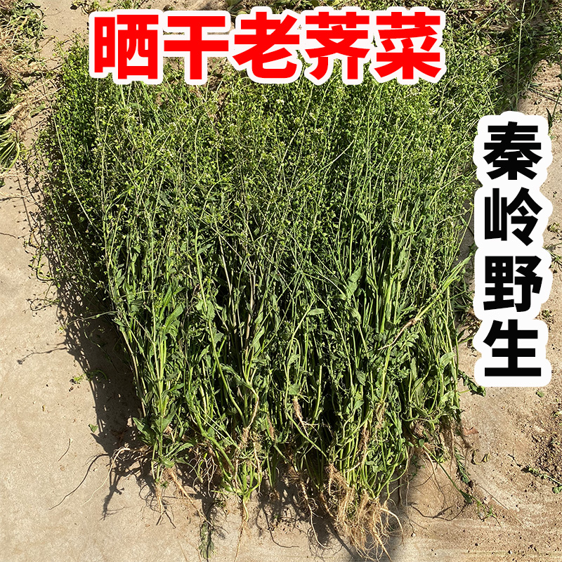 秦岭野生晒干老荠菜带根花籽整株月子煮水煮鸡蛋野菜新鲜晒干现货属于什么档次？