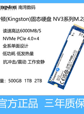 金士顿固态硬盘M.22280500G1T