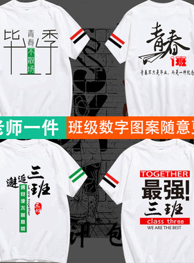 小学生毕业照留念班服定制t恤