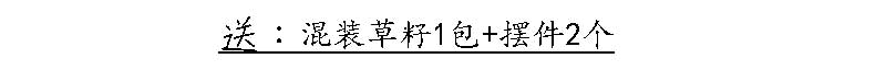 促销小型吸水石流水假山绿植摆件真石头原石盆景其它园艺用品包邮