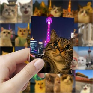 猫咪景点自拍贴纸风景可爱治愈宠物头像贴画diy电脑笔记本装饰图