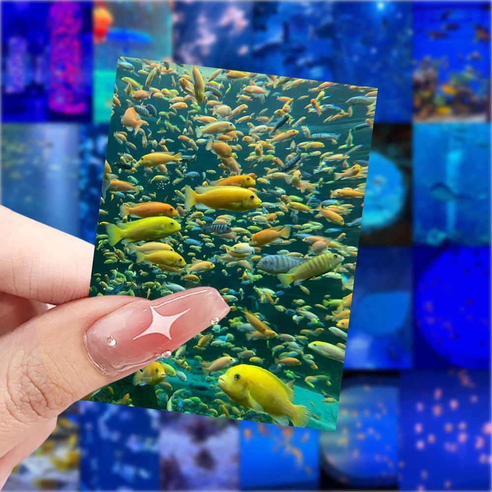 爆款氛围感海洋馆贴纸创意小众贴画装饰手机水杯行李箱防水贴画