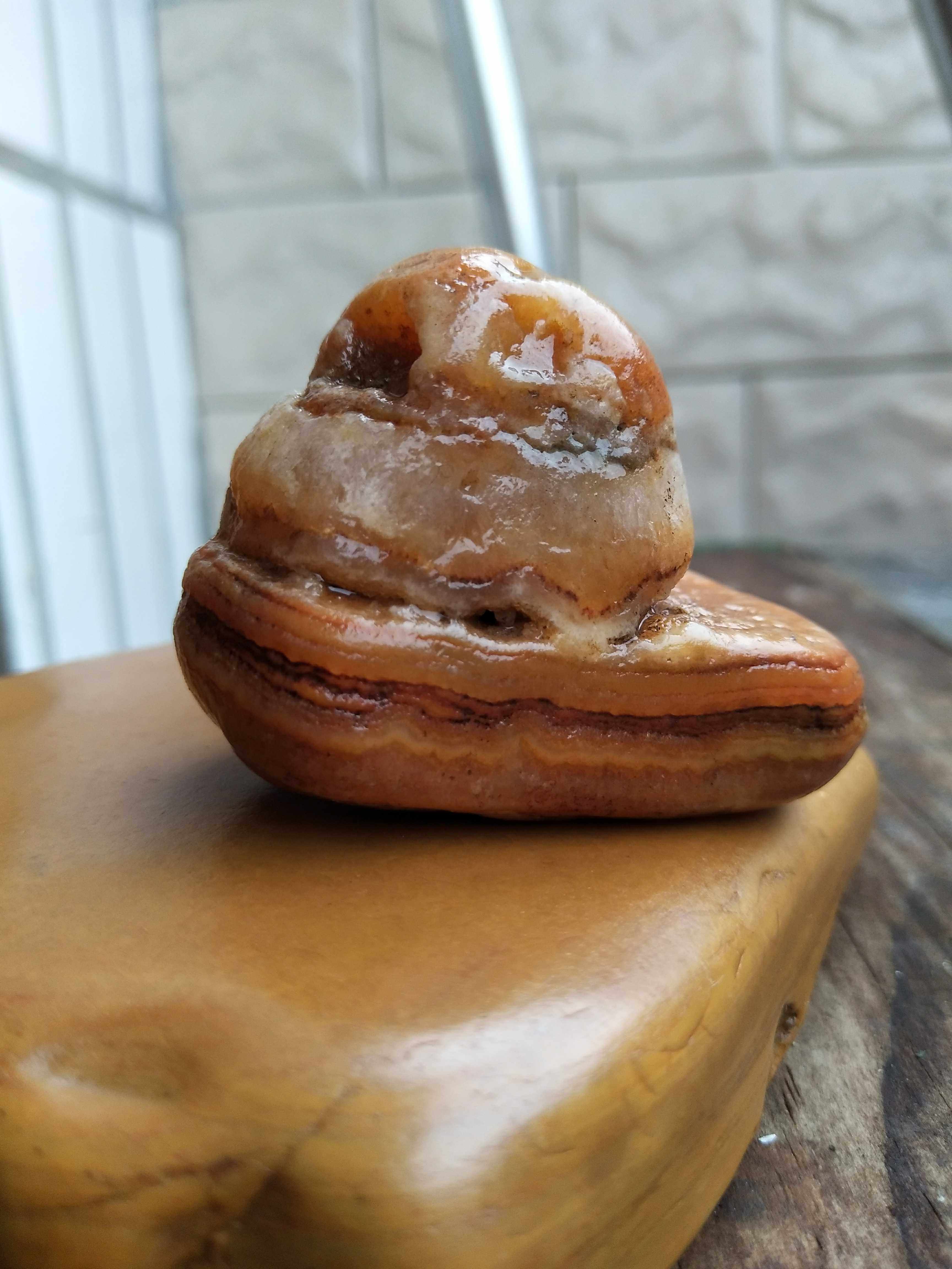 江西浙江黄蜡石金印细蜡摆件手玩摆件碧玉冻石长江石图案石造型石,饰品/流行首饰/时尚饰品新,摆件,淘宝优惠券,粉丝福利购,淘宝优惠卷