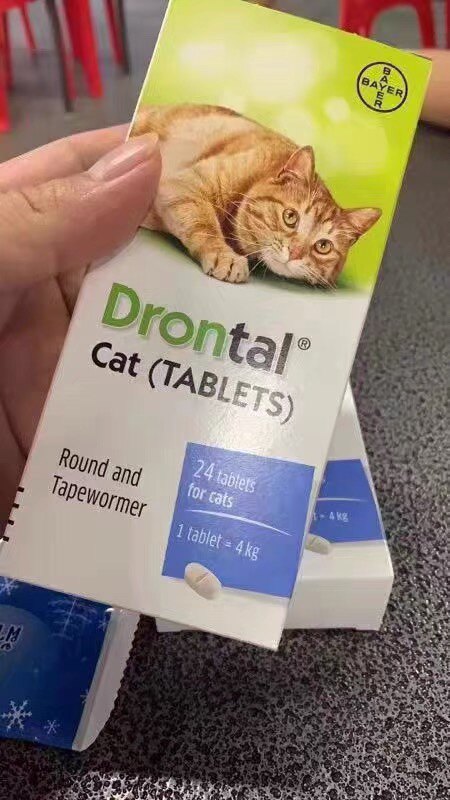 猫拜耳体内驱虫药整盒24粒装幼猫成猫驱虫除绦虫蛔虫
