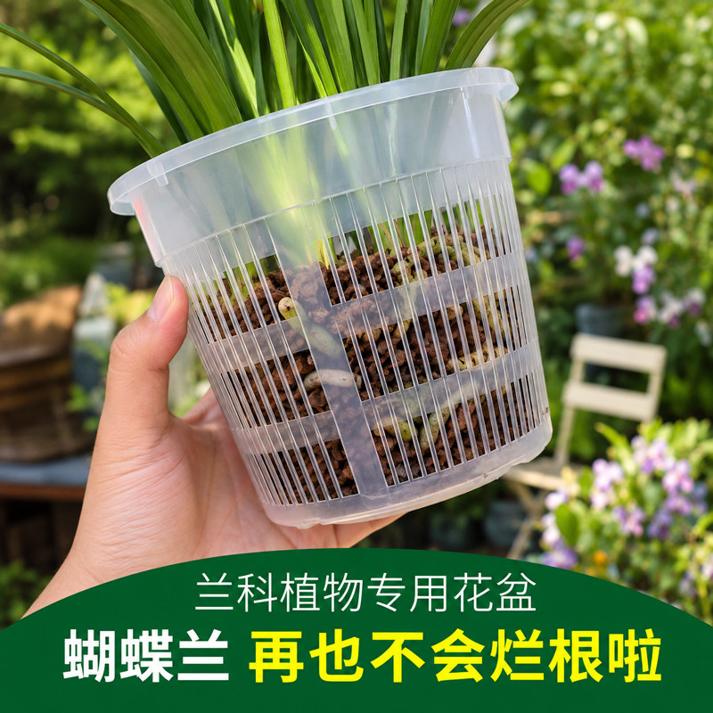 蝴蝶兰控根盆兰花盆加厚网格镂空透气种植盆耐用透明水培定植篮
